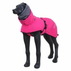 Rukka® Warmup Kutyakabát, Pink 11 Rukka® Warmup Kutyakabát, Pink -Olcsó Zooplus bolt 139904 lfashion rukka warmup hundemantel hotpink 38cm hs 03 0