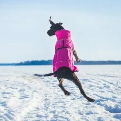 Rukka® Warmup Kutyakabát, Pink 12 Rukka® Warmup Kutyakabát, Pink -Olcsó Zooplus bolt 139904 lfashion rukka warmup hundemantel hotpink 38cm hs 04 1
