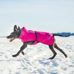 Rukka® Warmup Kutyakabát, Pink 13 Rukka® Warmup Kutyakabát, Pink -Olcsó Zooplus bolt 139904 lfashion rukka warmup hundemantel hotpink 38cm hs 05 4