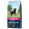 Eukanuba Adult Large Breed Csirke -Olcsó Zooplus bolt 162907 pla tetragmbhiams eukanuba adult largebreed huhn dog d15kg hs 01 5
