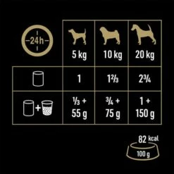 Cesar Natural Goodness 24 X 400 G 30 Cesar Natural Goodness 24 X 400 G -Olcsó Zooplus bolt 186696 cesar hundnassfuter natural goodness reich rind hs 08 6