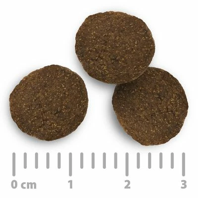 Purizon - Gabonamentes Gazdaságos Csomag 2 X 12 Kg 6 Purizon - Gabonamentes Gazdaságos Csomag 2 X 12 Kg - Image 4