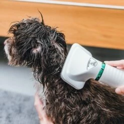 Trixie Meleglevegős Kefe -Olcsó Zooplus bolt 212217 trixie warmluftbuerste 300w hs 18 5