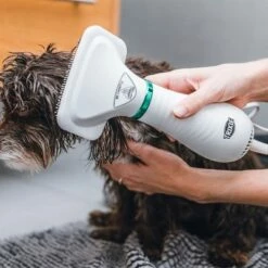 Trixie Meleglevegős Kefe -Olcsó Zooplus bolt 212217 trixie warmluftbuerste 300w hs 20 5