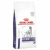 Royal Canin Expert Canine Dental Medium & Large Dog