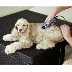 Oster Nyírógép - Szett 220 V 13 Oster Nyírógép - Szett 220 V -Olcsó Zooplus bolt 314320 oster heimtierschermaschinenset hund 08 2012 5