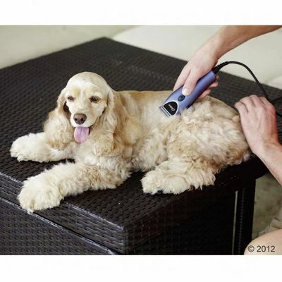 Oster Nyírógép - Szett 220 V 8 Oster Nyírógép - Szett 220 V - Image 6