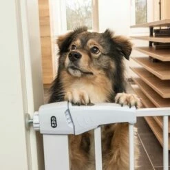 TIAKI Fehér Kutyarács 7 Cm-es Hosszabbítással 20% árengedménnyel! -Olcsó Zooplus bolt 334597 tiaki dog gate white fg 8198 1
