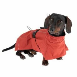 Nomad Tales Spirit Copper Kutya Esőkabát -Olcsó Zooplus bolt 369534 nt spirit copper 30cm fg 0605 0