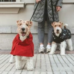 Nomad Tales Spirit Copper Kutya Esőkabát -Olcsó Zooplus bolt 369601 nt spirit copper2 1