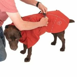 Nomad Tales Spirit Copper Kutya Esőkabát -Olcsó Zooplus bolt 369601 nt spirit copper 55cm fg 0823 9