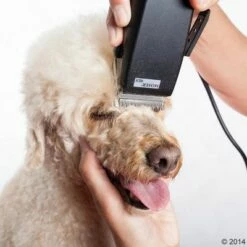 Moser Rex Nyírógép -Olcsó Zooplus bolt 465375 schermaschine moser rex 04 0