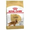 Royal Canin Cocker Adult -Olcsó Zooplus bolt 61129 pla royalcanin adulthund cocker 6