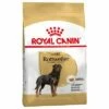 Royal Canin Rottweiler Adult -Olcsó Zooplus bolt 61166 pla royalcanin adulthund rottweiler 7