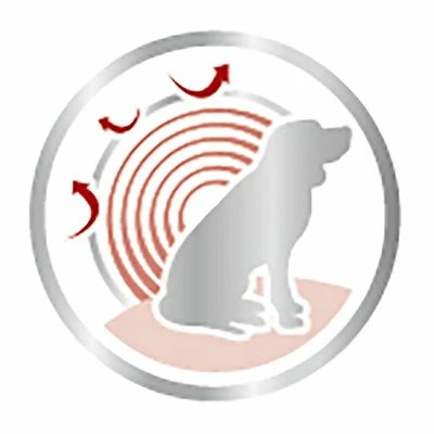 Royal Canin Medium Ageing 10+ Szószban 6 Royal Canin Medium Ageing 10+ Szószban - Image 4