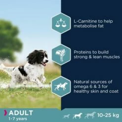 Eukanuba Adult Medium Breed Csirke 8 Eukanuba Adult Medium Breed Csirke -Olcsó Zooplus bolt adult medium 4