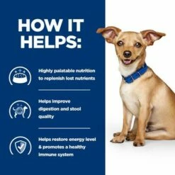 Hill's Prescription Diet I/d Digestive Care Ragu Csirke Kutyaeledel -Olcsó Zooplus bolt atf 606353 how it helps 4