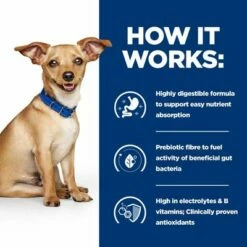 Hill's Prescription Diet I/d Digestive Care Ragu Csirke Kutyaeledel -Olcsó Zooplus bolt atf 606353 how it works 7