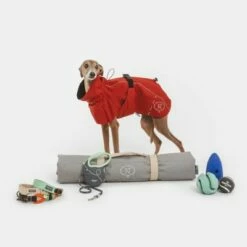 Nomad Tales Spirit Copper Kutya Esőkabát -Olcsó Zooplus bolt copper nt 2