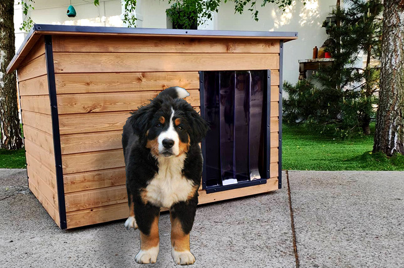 Olcsó Zooplus bolt -Olcsó Zooplus bolt kutyafajta kutyahazak 1860566546