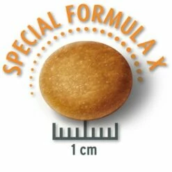 12 + 1,5 Kg Ingyen! 13,5 Kg Concept For Life Kutyatáp Túltöltött Zsák -Olcsó Zooplus bolt mediumjunior krokette 2 1