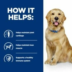 Hill's Prescription Diet J/d Joint Care Csirke Kutyatáp -Olcsó Zooplus bolt pd jd dog bk25363m bk30425 how helps uk 7