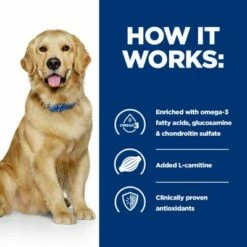 Hill's Prescription Diet J/d Joint Care Csirke Kutyatáp -Olcsó Zooplus bolt pd jd dog bk25363m bk30425 how works uk 4