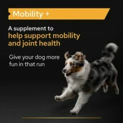 PURINA PRO PLAN Dog Adult Mobility Supplement Por -Olcsó Zooplus bolt pu proplan uk supplements mobility dog l 1 1650275097983 5