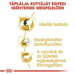 Royal Canin Beagle Adult -Olcsó Zooplus bolt rc bhn beagle cv eretailkit 3 hu hu 3