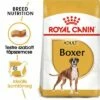 Royal Canin Boxer Adult -Olcsó Zooplus bolt rc bhn boxer mv eretailkit hu hu 1