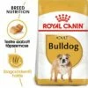 Royal Canin Bulldog Adult 2 Royal Canin Bulldog Adult -Olcsó Zooplus bolt rc bhn bulldog mv eretailkit hu hu 9