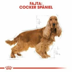Royal Canin Cocker Adult -Olcsó Zooplus bolt rc bhn cocker cv eretailkit 1 hu hu 7