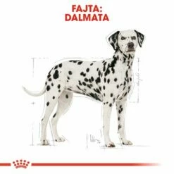 Royal Canin Dalmatian Adult -Olcsó Zooplus bolt rc bhn dalmatian cv eretailkit 1 hu hu 0