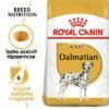 Royal Canin Dalmatian Adult -Olcsó Zooplus bolt rc bhn dalmatian mv eretailkit hu hu 8