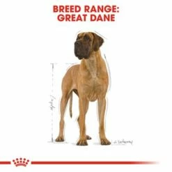 Royal Canin Great Dane Adult -Olcsó Zooplus bolt rc bhn greatdane cv eretailkit 1 4