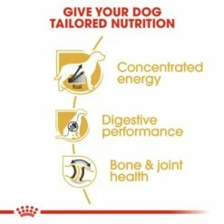 Royal Canin Great Dane Adult -Olcsó Zooplus bolt rc bhn greatdane cv eretailkit 3 0