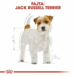 Royal Canin Jack Russell Terrier Adult -Olcsó Zooplus bolt rc bhn jackrussell cv eretailkit 1 hu hu 0