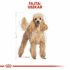 Royal Canin Poodle Adult -Olcsó Zooplus bolt rc bhn poodle cv eretailkit 1 hu hu 2
