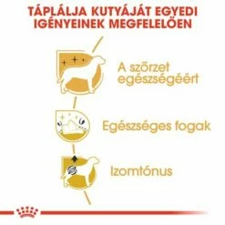 Royal Canin Poodle Adult -Olcsó Zooplus bolt rc bhn poodle cv eretailkit 3 hu hu 2