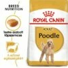 Royal Canin Poodle Adult -Olcsó Zooplus bolt rc bhn poodle mv eretailkit hu hu 2