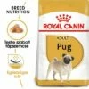 Royal Canin Pug Adult 1 Royal Canin Pug Adult -Olcsó Zooplus bolt rc bhn pug mv eretailkit hu hu 9