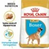 Royal Canin Boxer Puppy -Olcsó Zooplus bolt rc bhn puppyboxer mv eretailkit hu hu 6