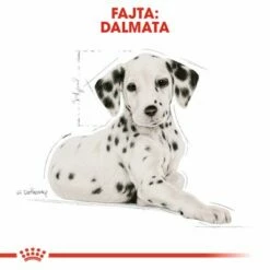 Royal Canin Dalmatian Puppy -Olcsó Zooplus bolt rc bhn puppydalmatian cm eretailkit 4 hu hu 9