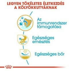 Royal Canin French Bulldog Puppy 9 Royal Canin French Bulldog Puppy -Olcsó Zooplus bolt rc bhn puppyfrenchbulldog cm eretailkit 3 hu hu 8