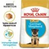 Royal Canin German Shepherd Puppy -Olcsó Zooplus bolt rc bhn puppygs mv eretailkit hu hu 3