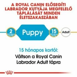 Royal Canin Labrador Retriever Puppy -Olcsó Zooplus bolt rc bhn puppylabradorretriever cm eretailkit 1 hu hu 5