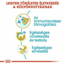 Royal Canin Labrador Retriever Puppy -Olcsó Zooplus bolt rc bhn puppylabradorretriever cm eretailkit 3 hu hu 8