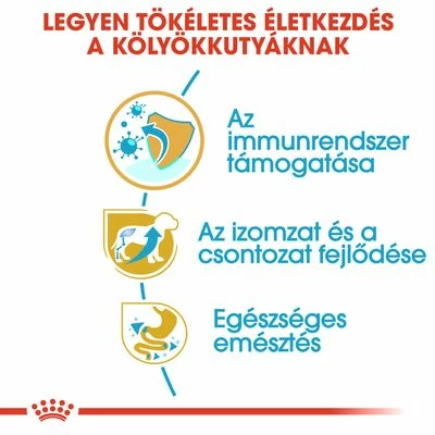 Royal Canin Rottweiler Puppy 5 Royal Canin Rottweiler Puppy - Image 3