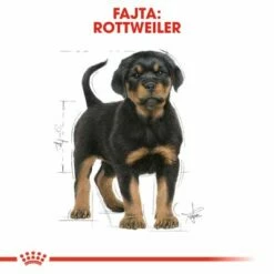Royal Canin Rottweiler Puppy 11 Royal Canin Rottweiler Puppy -Olcsó Zooplus bolt rc bhn puppyrottweiler cm eretailkit 4 hu hu 4