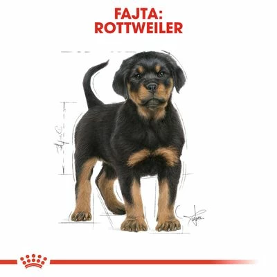 Royal Canin Rottweiler Puppy 6 Royal Canin Rottweiler Puppy - Image 4
